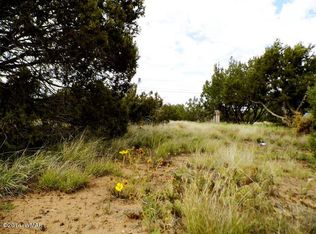 8436 Ortega Dr, Show Low, AZ 85901