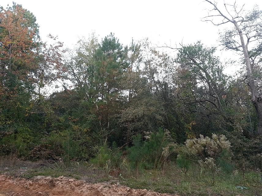 2nd image of 570 Buckboard Rd
