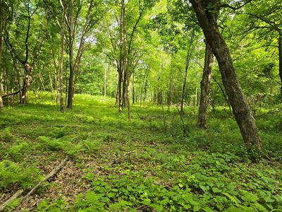 120th Ave, Amery, WI, 54001