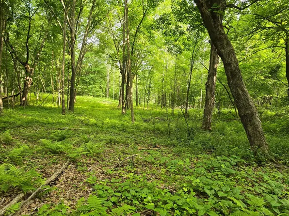 120th Ave, Amery, WI 54001