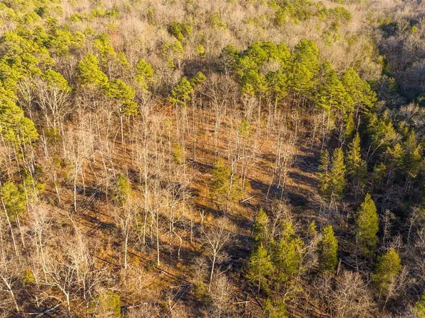 0 Goose Creek Rd, Potosi, MO 63664
