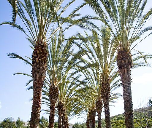3rd image of 6401 Camino Ventosa