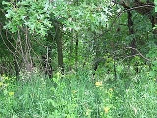 2nd image of 27-18 Shadow Ridge Rd