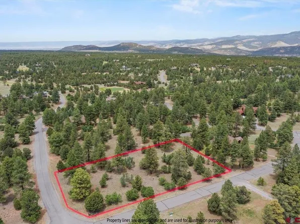 TBD Lot 308 Bear Cub Drive, Ridgway, CO 81432