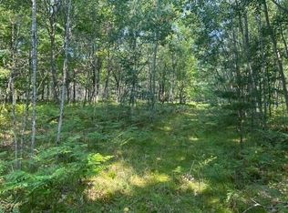 Nn W Erdman Rd, Lake City, MI 49651