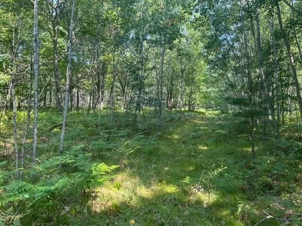 Nn W Erdman Rd, Lake City, MI 49651