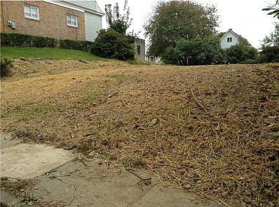 2nd image of 2823 Crosby Ave