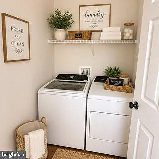 100 Sand Dollar Cv — Photo 32