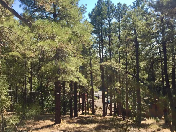 65 W Campfire Trl, Munds Park, AZ 86017