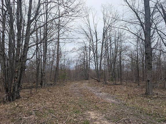 5th image of 6736 Finnegan Rd