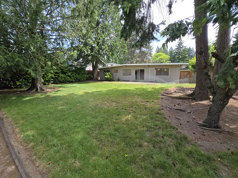 Backyard, fully fenced