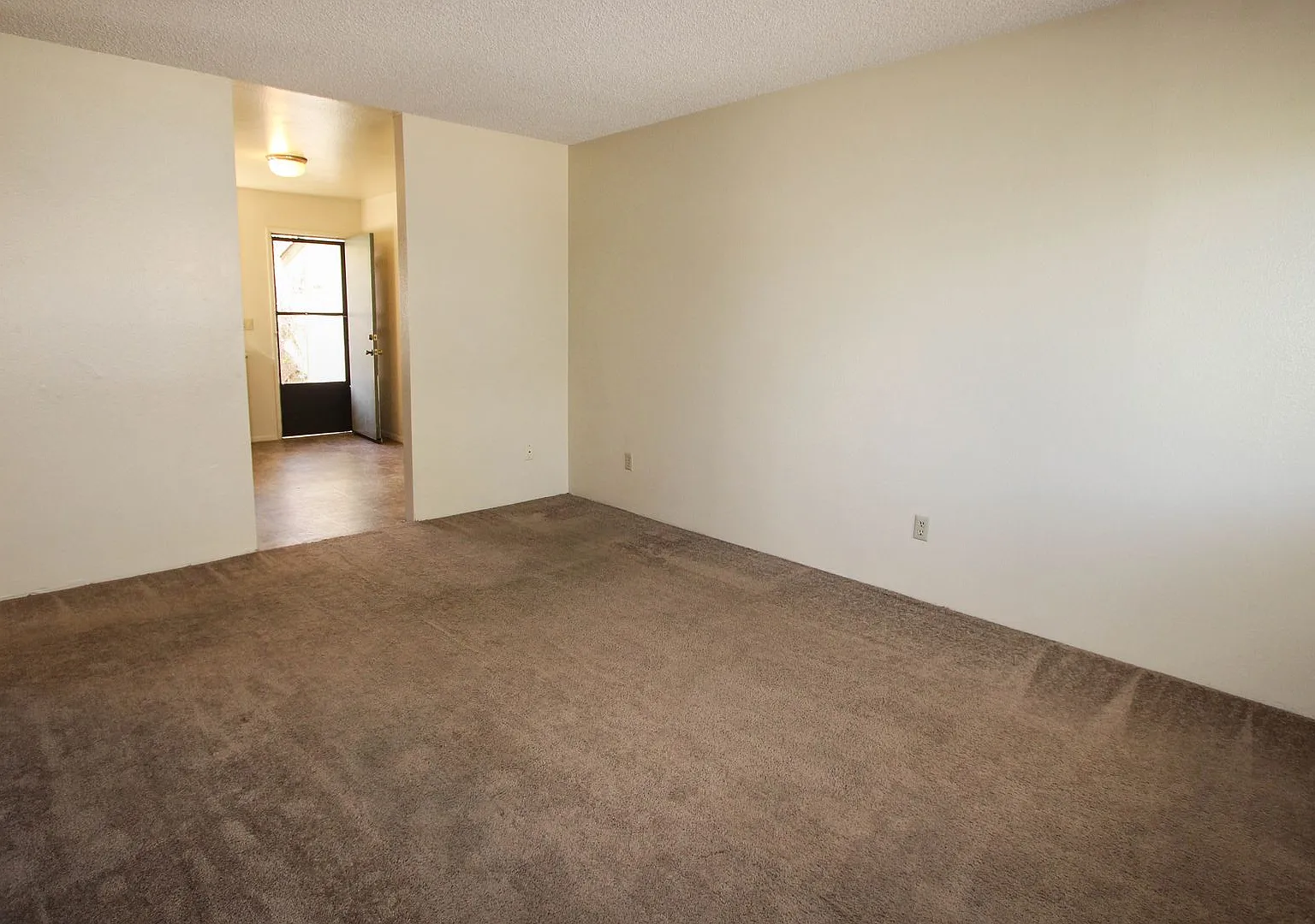 210 S. Rush Street — Photo 4