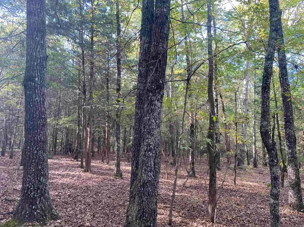 1 Daily Ln, Morris Chapel, TN 38361