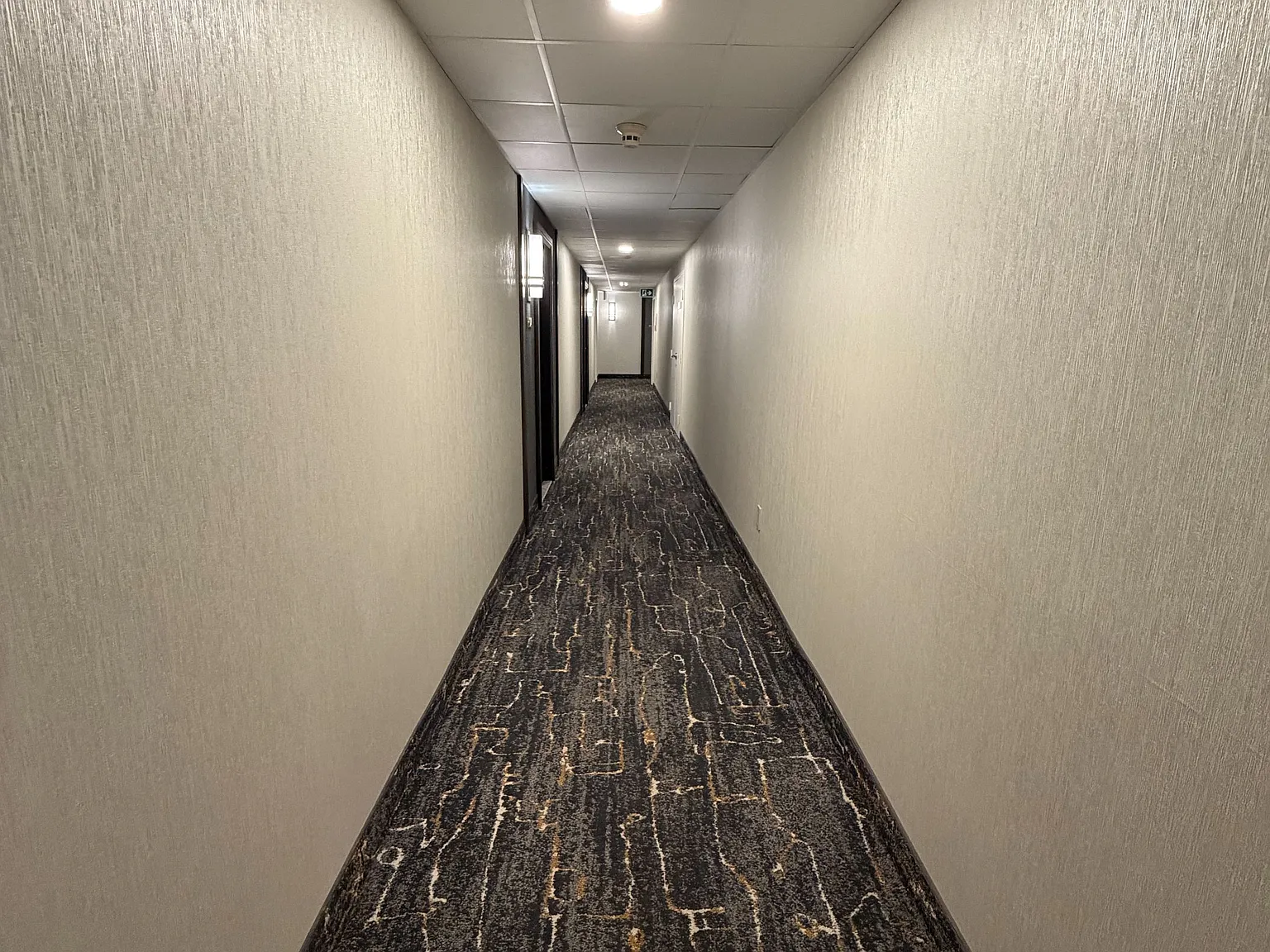 2 bed, $3,150 — Photo 3