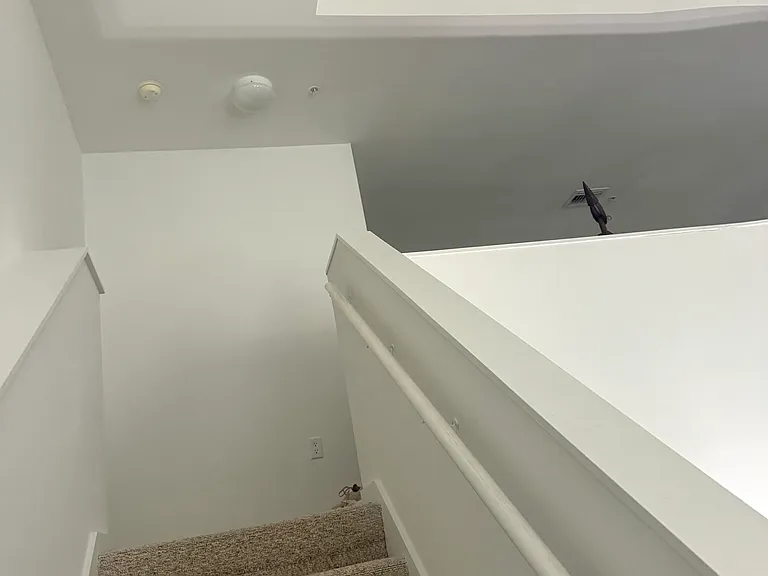 255 Evernia St #103 — Photo 7