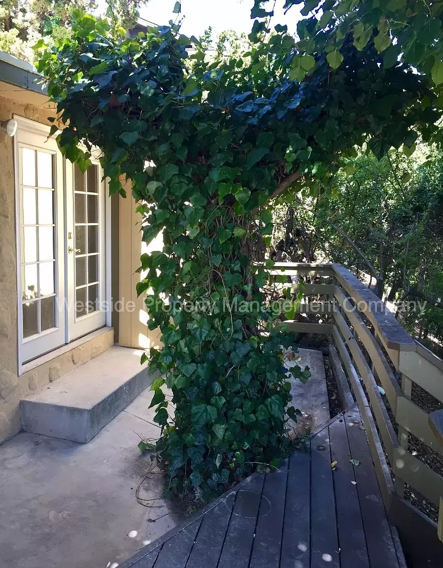 Studio, 225 sqft, $1,495 — Photo 1