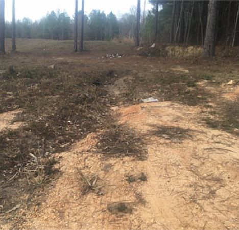 2nd image of 398 Stump Bridge Rd