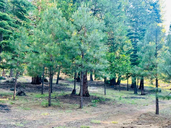 275 Osprey Loop #5, Chester, CA 96020