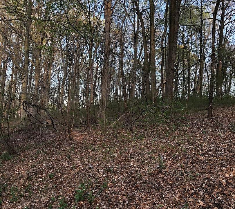 2nd image of 117 Mercer Mill Rd
