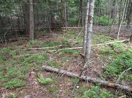3rd image of Lot 35 Settlers Drive