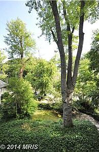 View from Front Porch