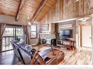 602 Ryan Gulch Rd, Silverthorne, CO 80498