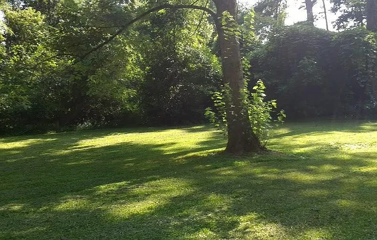 Spacious backyard