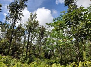 Pakalana Rd LOT 116, Pahoa, HI 96778