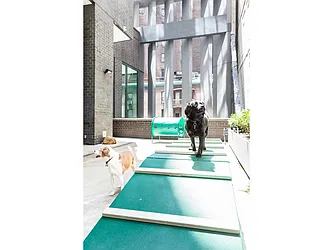 Rented by Douglas Elliman