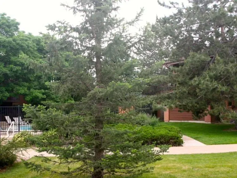 595 Manhattan Dr #103 — Photo 3