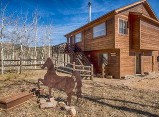 214 Snow Water Rd, Bailey, CO 80421