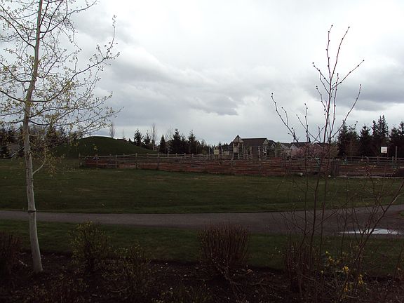 Park from Living Room window