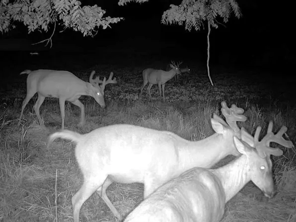 XX55 County Road JJ, Stockholm, WI 54769