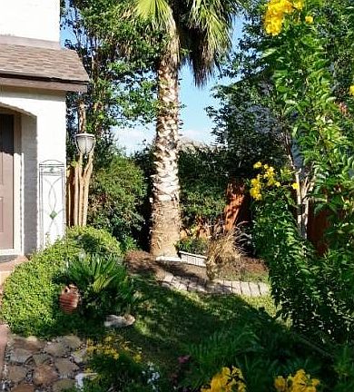 Front Yard