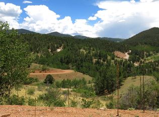 225 Last Dollar Dr, Cripple Creek, CO 80813
