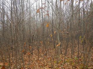 0 Koeppler Rd, Ojibwa, WI 54862