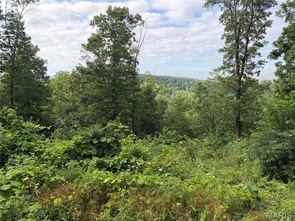 County Road 453 Lots 393 394 395 396 & 729 730 #731, Piedmont, MO 63957