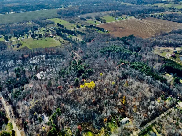 1731 Ambrose Rd, Mayville, MI 48744