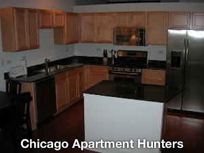 1st image of 1305 S Michigan Ave APT 1112