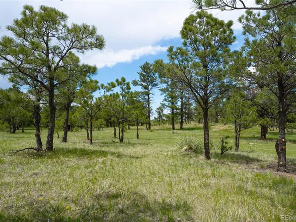 Parcel #5 County Road 122, Ramah, CO 80832