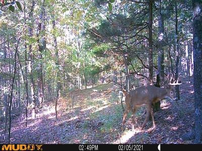 826 Castle St, Monticello, KY, 42633