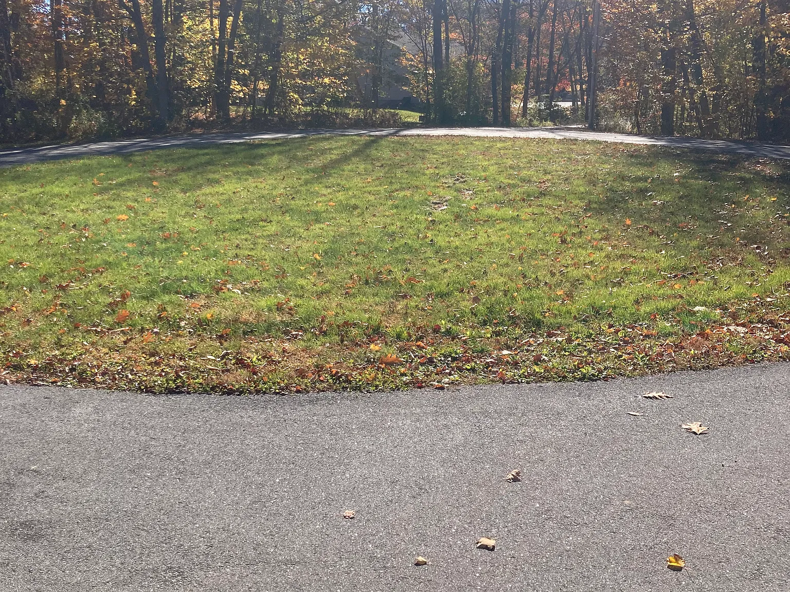 2 bed, 1.5 bath, 1000 sqft, $2,100 — Photo 4