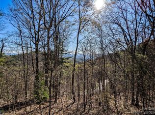 8 Waxwing Way #14, Asheville, NC 28804