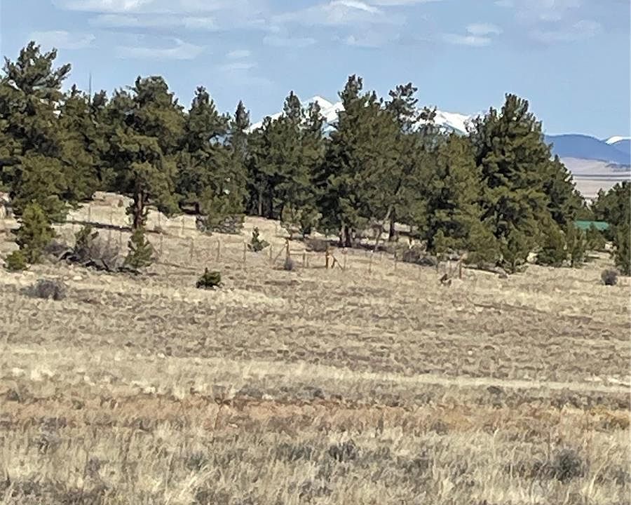 1st image of 00 Guipago Trail
