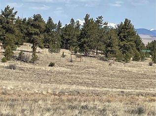 00 Guipago Trail, Hartsel, CO 80449