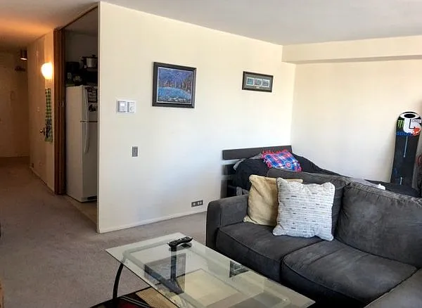 Photo 2 of 14 - 300 N State St #2627 - Chicago, IL Building Photo - 300 N State St #2627