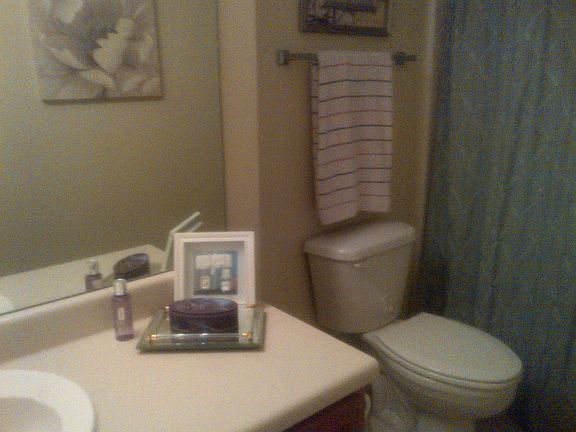 Guest bathroom