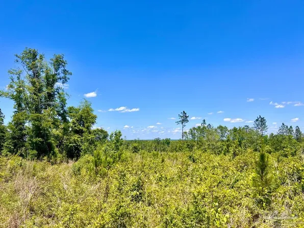 LOT-12C Cotton Lake Rd, Molino, FL 32577