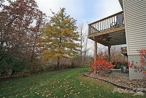 Backed to wetland! Tons of privacy