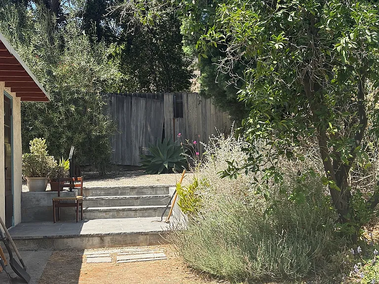 More backyard space